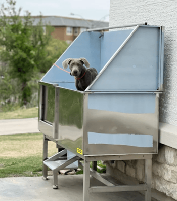 Pet friendly pet spa